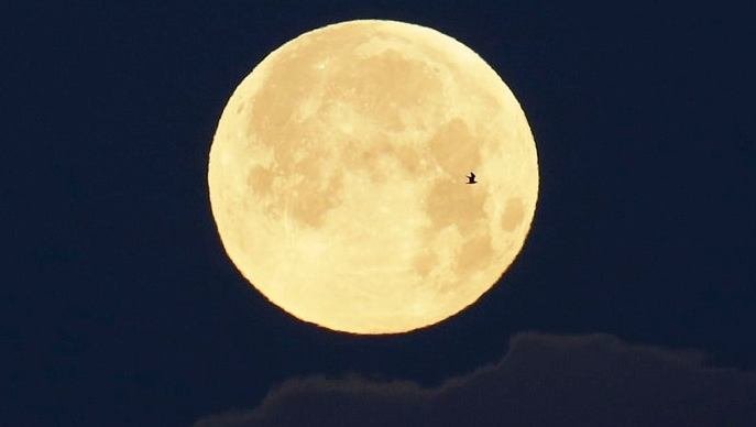 चन्द्रमाको रङ फरक, ज्योतिष भन्छन् अनिष्टको संकेत